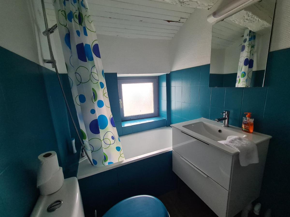 Les Cosy De Nancy - Le Duplex Aux Flammants Roses - 4Etoiles Apartment Exterior photo